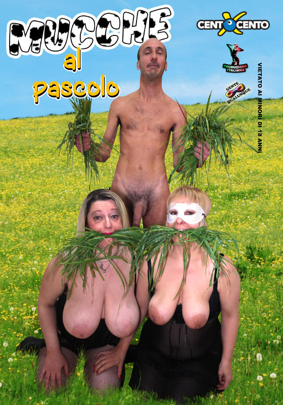 Mucche al Pascolo CentoXCento